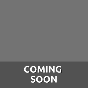 Next Concept - Gallery Cover
